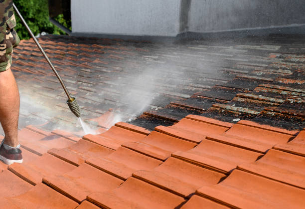 Best Best Pressure Washing Companies  in Cuero, TX